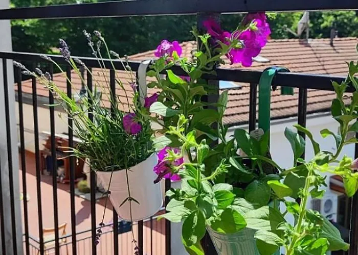 Casa Miro شقة بارما